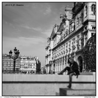 H DSC0209