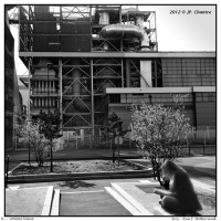 U DSC0449