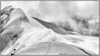  DSC4988