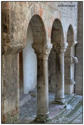 Ombrie 4 Spello B DSC7940 21 Bis