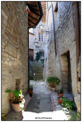 Ombrie 6 Todi A DSC8005 25 Bis