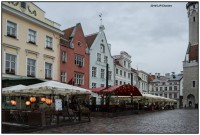 EE 2 Tallinn DSC1098