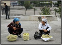 JP Tashkent Bazar Chorsu 2012 10 16 10 07 19  DSC5760
