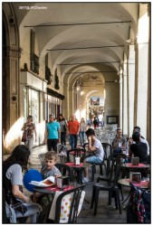 Arcades 0515