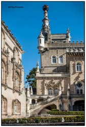 Bussaco 0929
