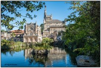 Bussaco 0932