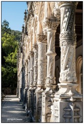 Bussaco 0942