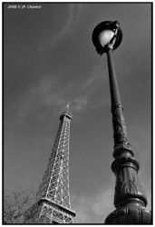 DSC 0003