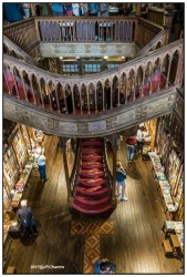 Porto Librairie Lello 1353