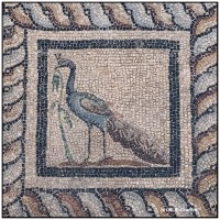 37 Pergamon DSF2176