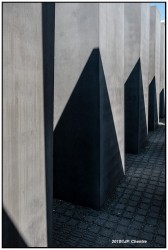 42 M  morial DSF2387