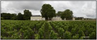Chateau Cantemerle 5715 5727