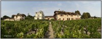 Chateau Giscours 6546 6551 Rep