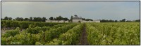 Chateau GrandPuyLacoste 6585 6589 Rep