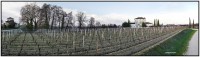 Chateau LaFleurPetrus 4122 4131 Rep