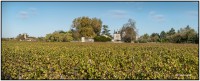 Chateau Lamothe P1 9591 9607