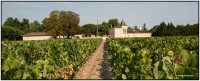 Chateau LarrieuTerrefort Rep 6544