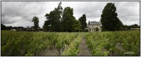 Chateau Paloumey 5850 5860