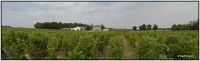 Chateau Peyrabon 6591 6596 Rep