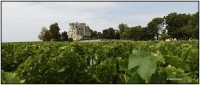Chateau XXX 6572 6576 Rep