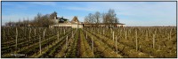 Vieux Chateau Certan 4114 4121