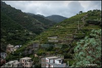 7 Vernazza 4533
