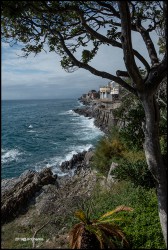 9 Nervi 5188