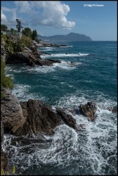 9 Nervi 5194